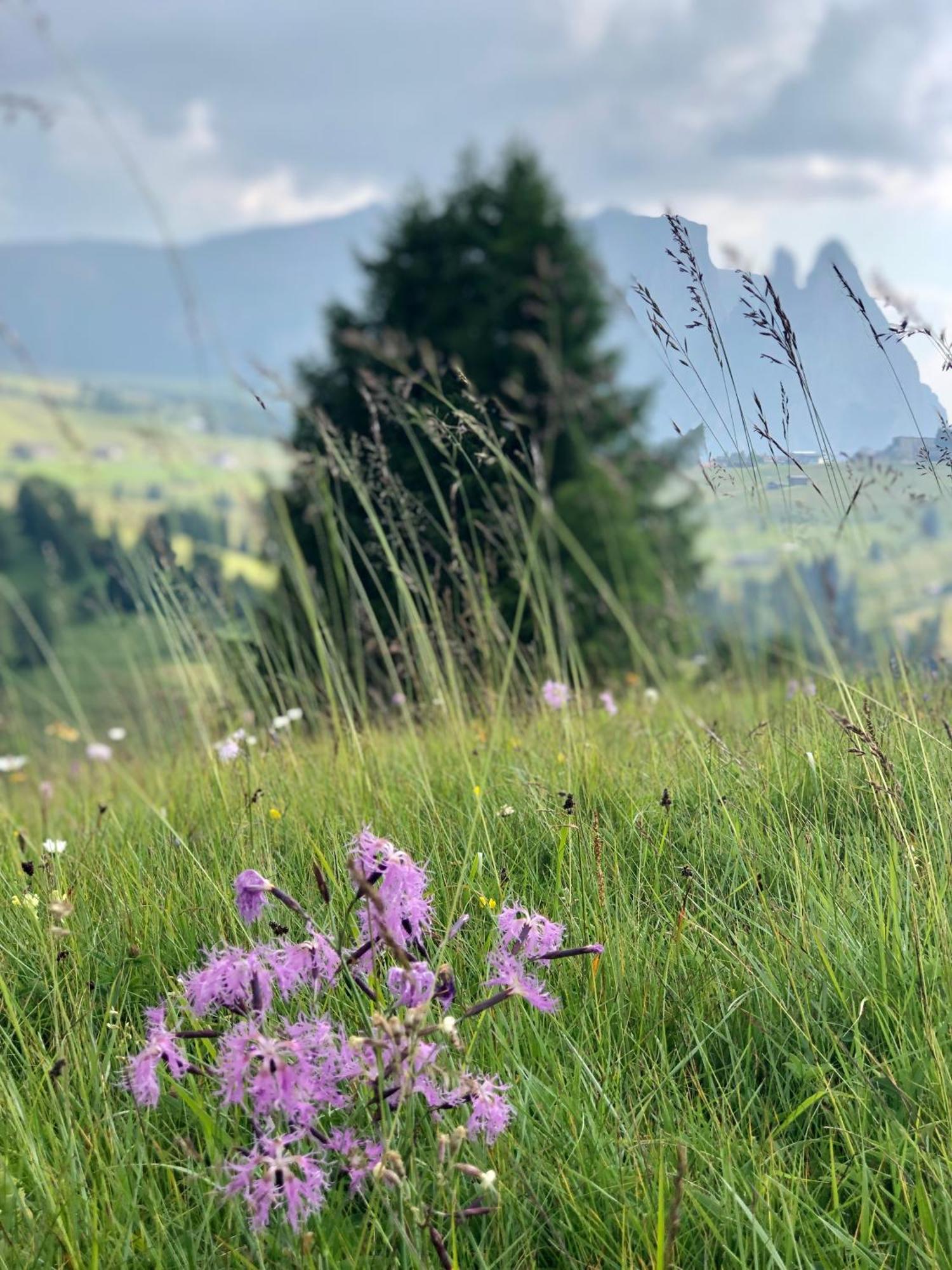 Sule Hof Agriturismo Urtijëi Dış mekan fotoğraf